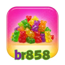 br858